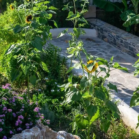 Apartment Istron Avra Kalo Chorio (Lasithi)